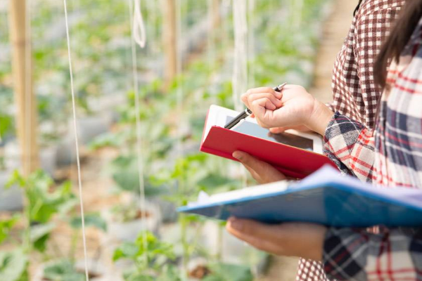 亚马逊地址验证后要多久通过